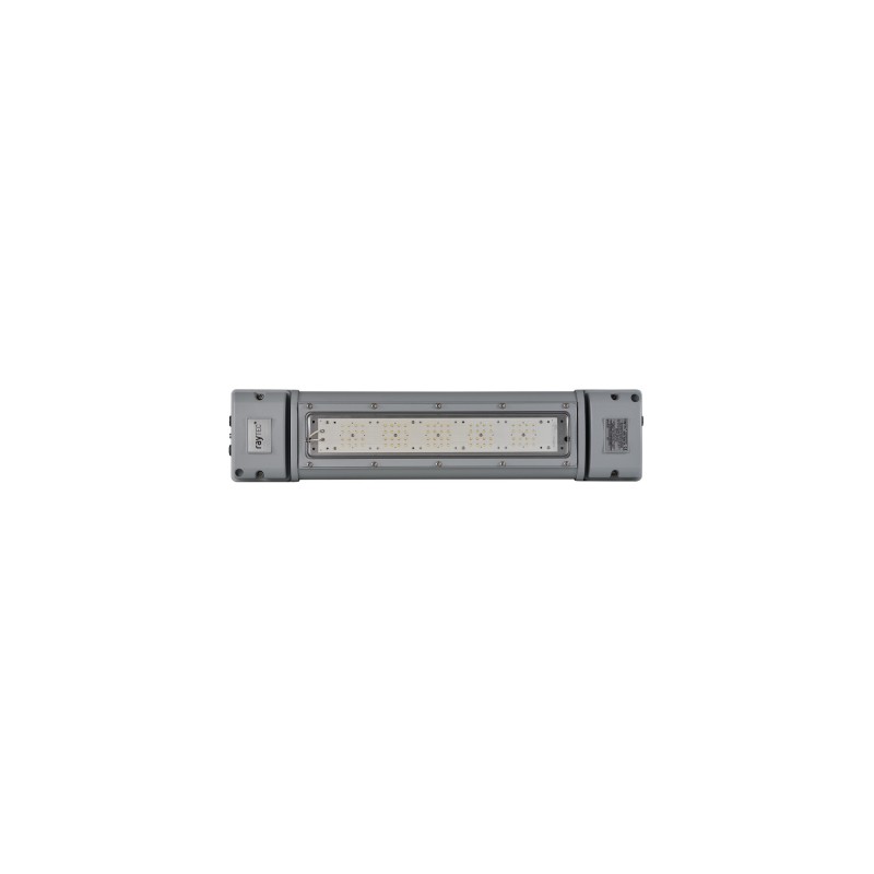 WL 84 high output Linear Luminaire for zone 2