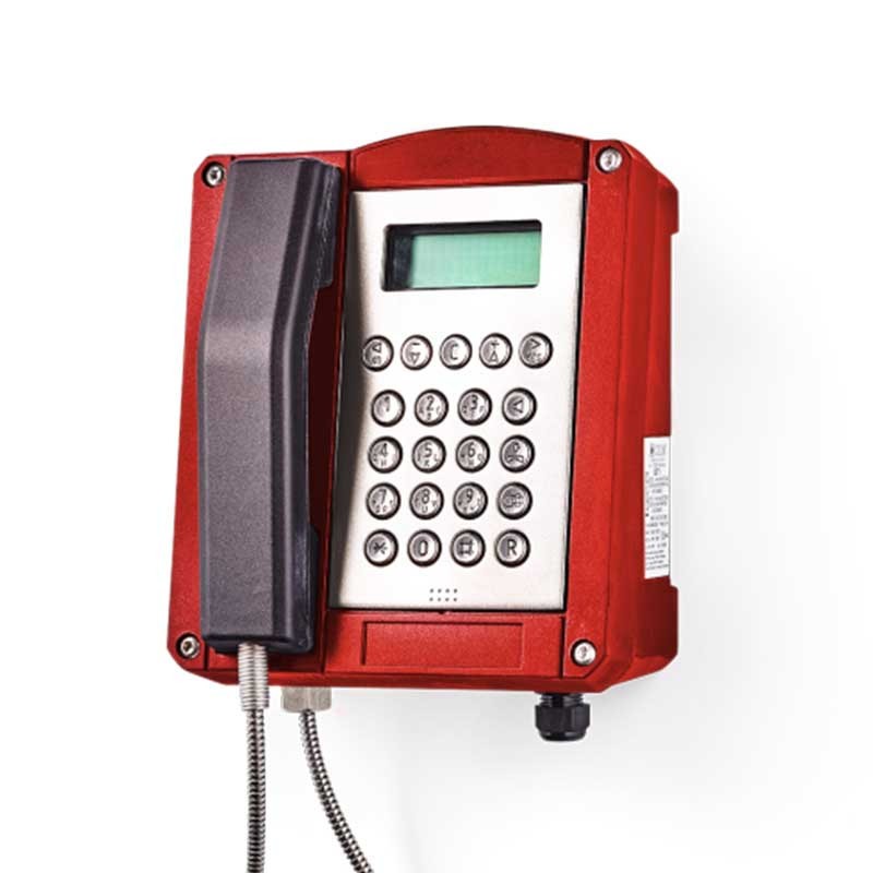 Telefon ATEX Serie DST Zone 1 : analog oder Voip - A2S