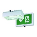 Compact sheet-steel emergency Light Fitting 6118 series - Zone 1