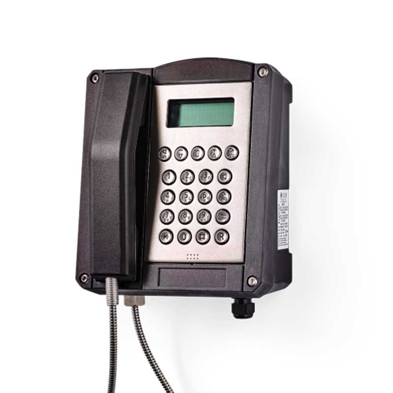 Ex-proof phone DST Series 1 : Analog or VoIP - A2S